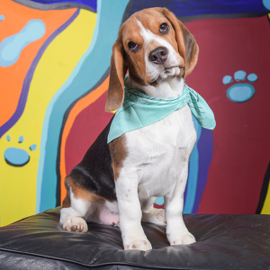 Fundraising Page: candy mccown